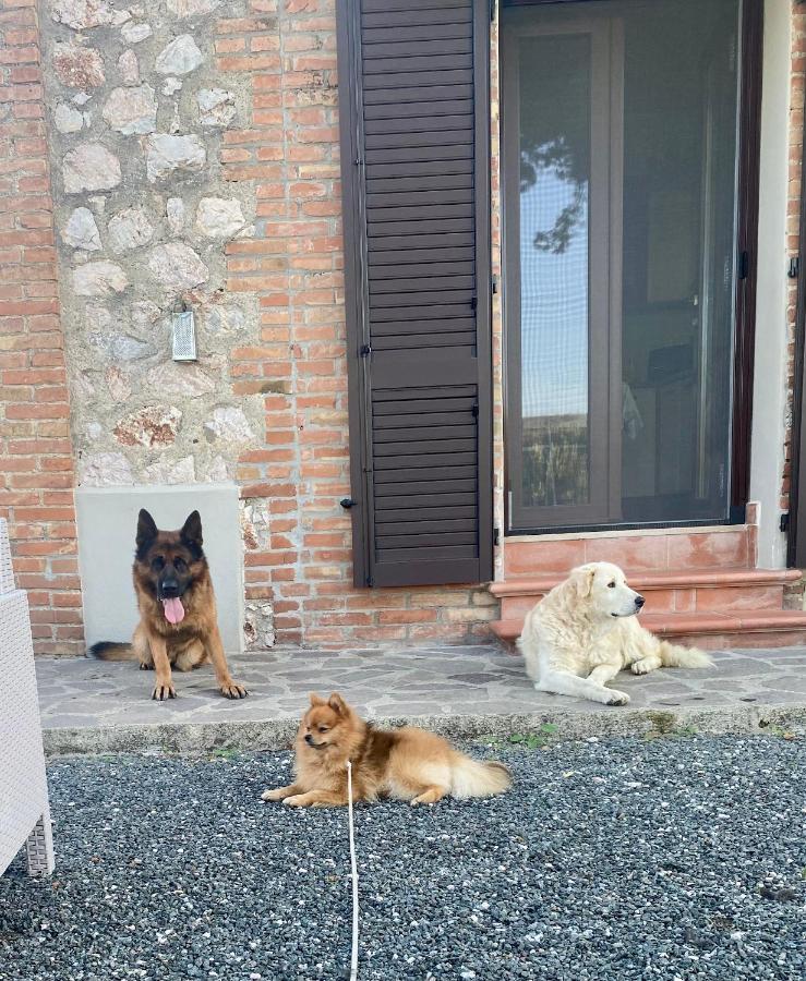 Casa Vacanze Arcobaleno Grosseto Eksteriør bilde